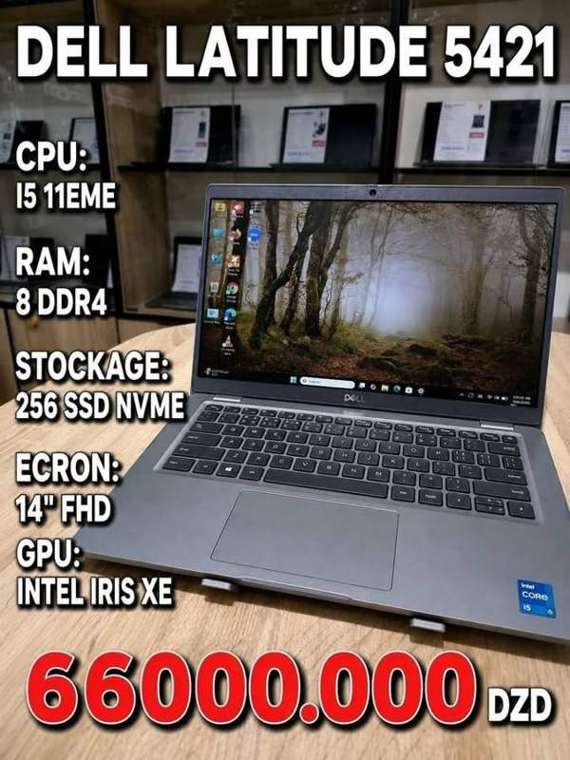 Dell Latitude 5421