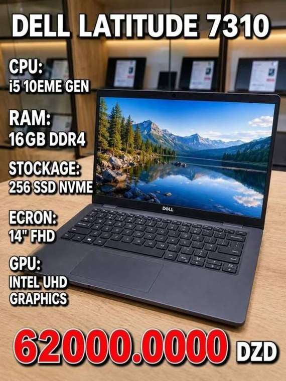Dell Latitude 7310